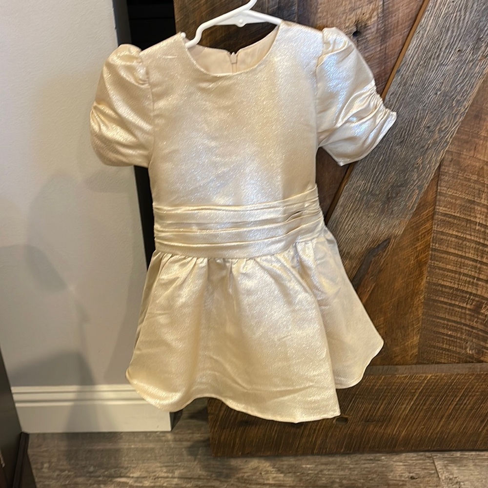 Noralee champagne sparkle dress